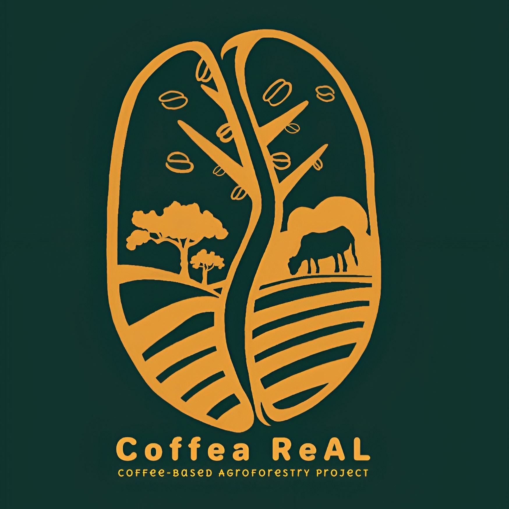 Coffea Real